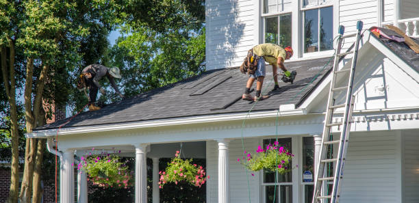 Best Roof Gutter Cleaning  in Gonzalez, FL