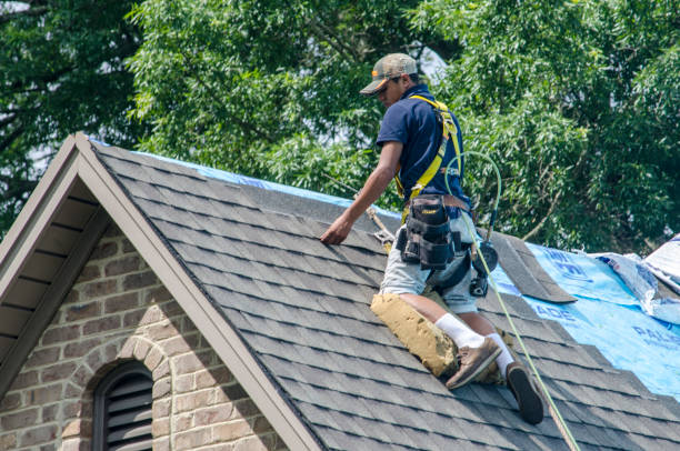 Best Residential Roof Replacement  in Gonzalez, FL